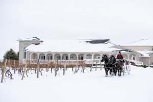 Horse and carriage, Wedding Ceremonies and Receptions at Casa Larga Vineyards